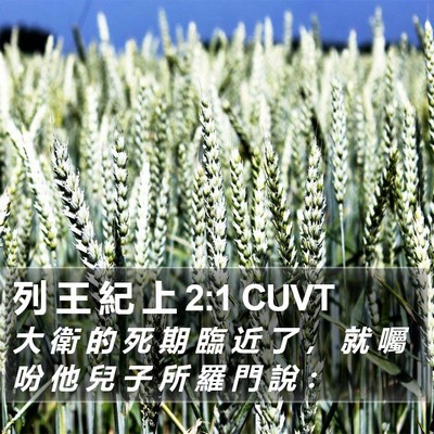列 王 紀 上 2:1 CUVT Bible Verse Image