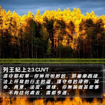 列 王 紀 上 2:3 CUVT Bible Verse Image