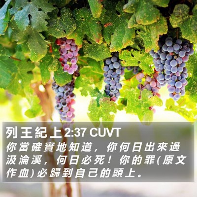 列 王 紀 上 2:37 CUVT Bible Verse Image