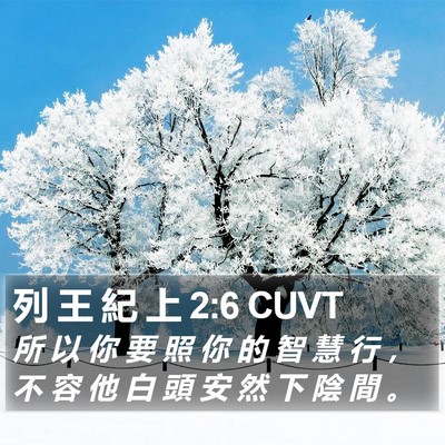 列 王 紀 上 2:6 CUVT Bible Verse Image