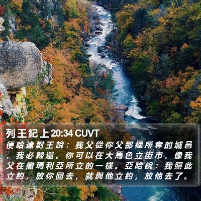 列 王 紀 上 20:34 CUVT Bible Verse Image