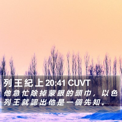 列 王 紀 上 20:41 CUVT Bible Verse Image