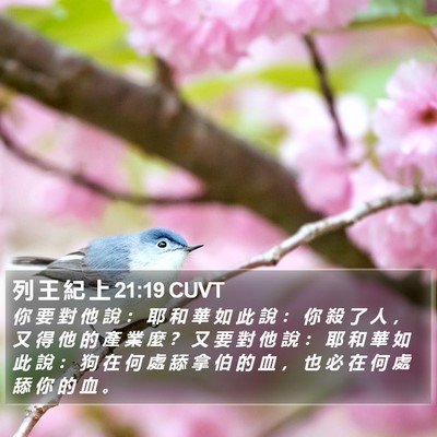 列 王 紀 上 21:19 CUVT Bible Verse Image