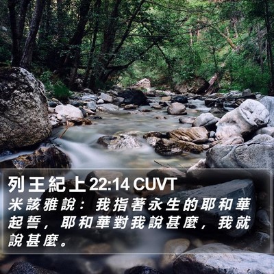 列 王 紀 上 22:14 CUVT Bible Verse Image