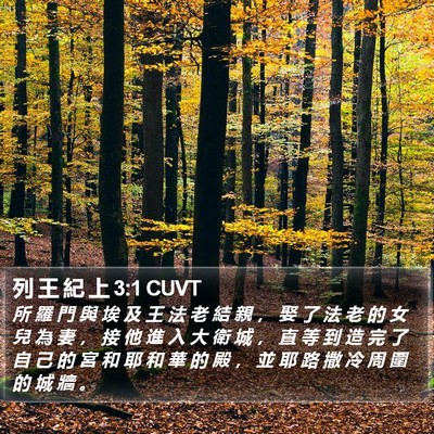 列 王 紀 上 3:1 CUVT Bible Verse Image