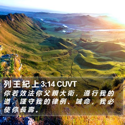 列 王 紀 上 3:14 CUVT Bible Verse Image