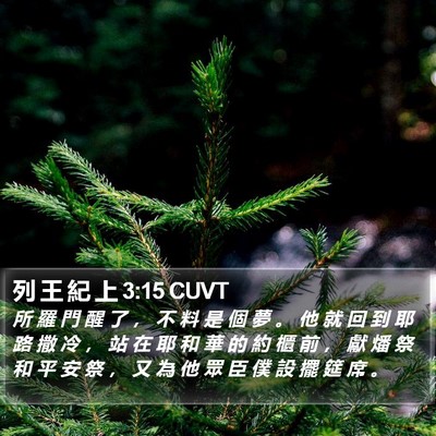 列 王 紀 上 3:15 CUVT Bible Verse Image