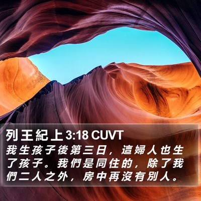 列 王 紀 上 3:18 CUVT Bible Verse Image