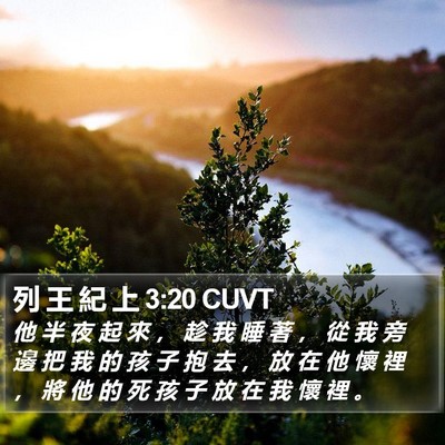 列 王 紀 上 3:20 CUVT Bible Verse Image