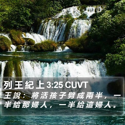 列 王 紀 上 3:25 CUVT Bible Verse Image