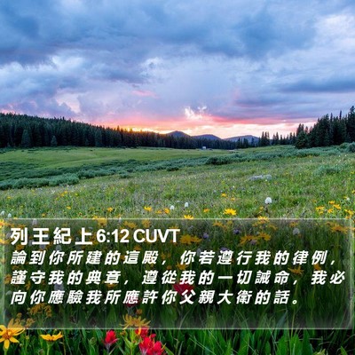 列 王 紀 上 6:12 CUVT Bible Verse Image