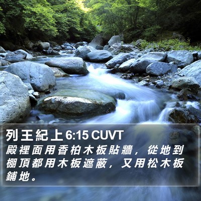 列 王 紀 上 6:15 CUVT Bible Verse Image