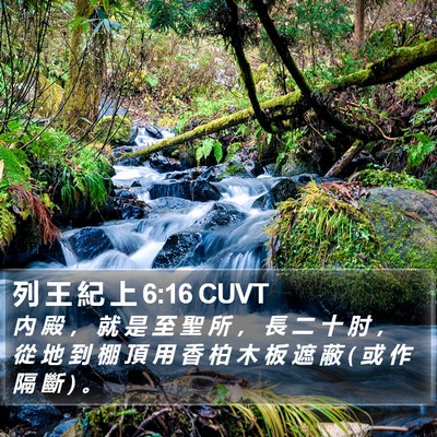 列 王 紀 上 6:16 CUVT Bible Verse Image