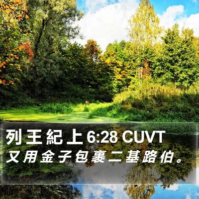 列 王 紀 上 6:28 CUVT Bible Verse Image