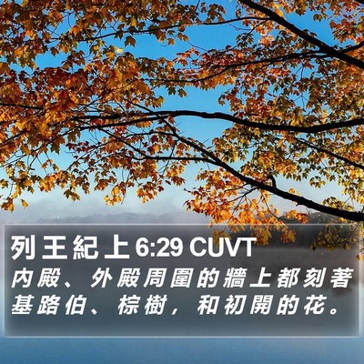 列 王 紀 上 6:29 CUVT Bible Verse Image