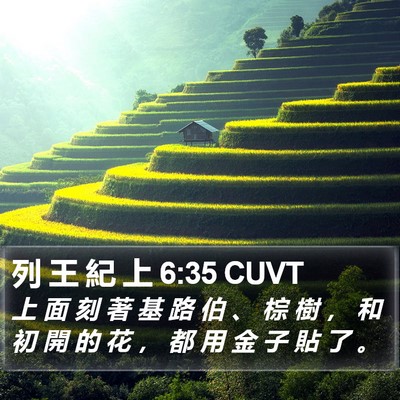 列 王 紀 上 6:35 CUVT Bible Verse Image
