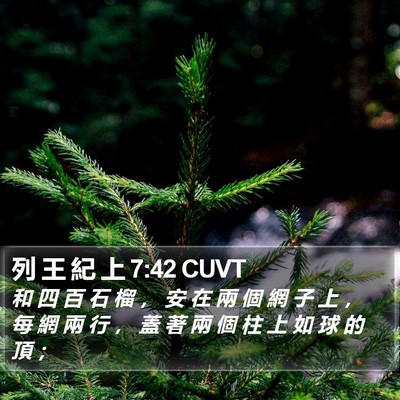 列 王 紀 上 7:42 CUVT Bible Verse Image