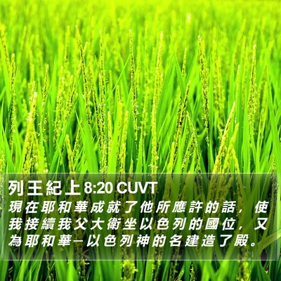 列 王 紀 上 8:20 CUVT Bible Verse Image