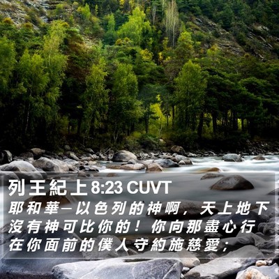 列 王 紀 上 8:23 CUVT Bible Verse Image