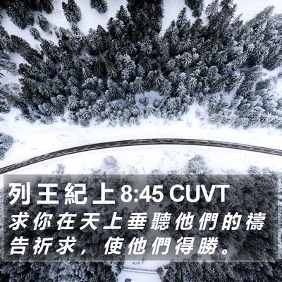 列 王 紀 上 8:45 CUVT Bible Verse Image
