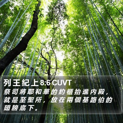 列 王 紀 上 8:6 CUVT Bible Verse Image