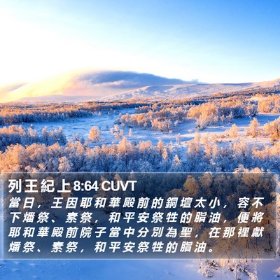 列 王 紀 上 8:64 CUVT Bible Verse Image