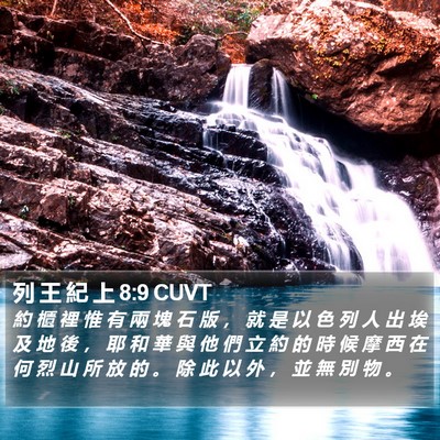 列 王 紀 上 8:9 CUVT Bible Verse Image