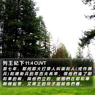 列 王 紀 下 11:4 CUVT Bible Verse Image