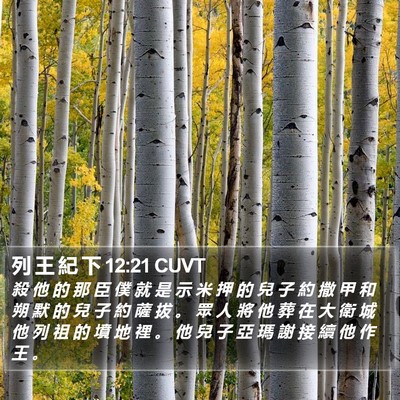 列 王 紀 下 12:21 CUVT Bible Verse Image
