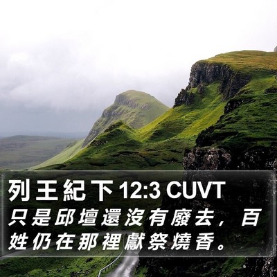 列 王 紀 下 12:3 CUVT Bible Verse Image