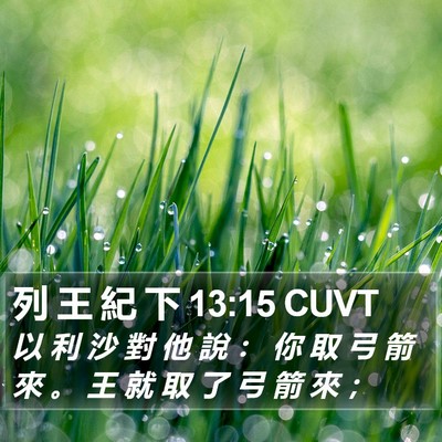 列 王 紀 下 13:15 CUVT Bible Verse Image