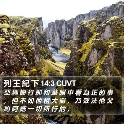 列 王 紀 下 14:3 CUVT Bible Verse Image