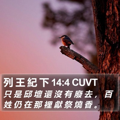 列 王 紀 下 14:4 CUVT Bible Verse Image