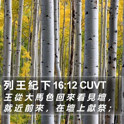 列 王 紀 下 16:12 CUVT Bible Verse Image