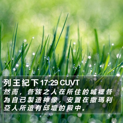 列 王 紀 下 17:29 CUVT Bible Verse Image
