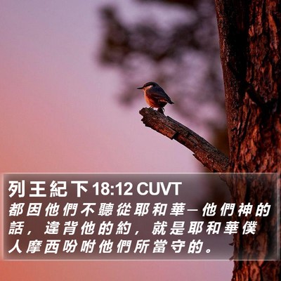 列 王 紀 下 18:12 CUVT Bible Verse Image