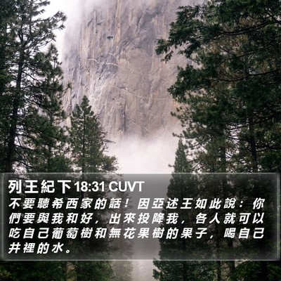 列 王 紀 下 18:31 CUVT Bible Verse Image