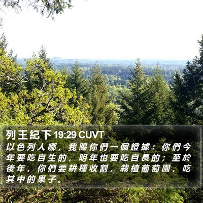 列 王 紀 下 19:29 CUVT Bible Verse Image