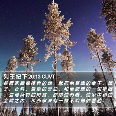 列 王 紀 下 20:13 CUVT Bible Verse Image