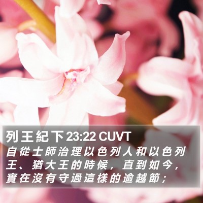 列 王 紀 下 23:22 CUVT Bible Verse Image