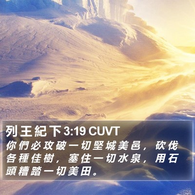 列 王 紀 下 3:19 CUVT Bible Verse Image