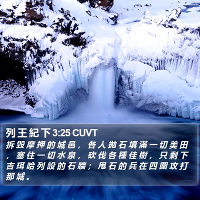 列 王 紀 下 3:25 CUVT Bible Verse Image