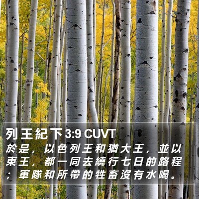 列 王 紀 下 3:9 CUVT Bible Verse Image