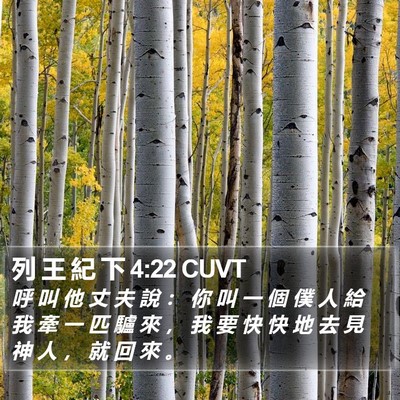 列 王 紀 下 4:22 CUVT Bible Verse Image
