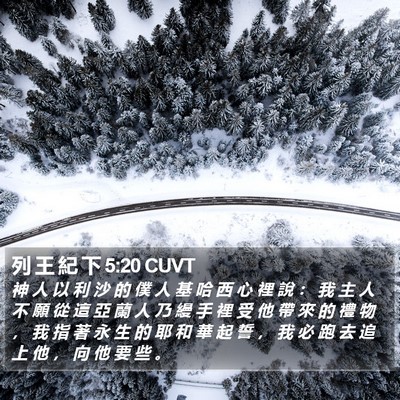 列 王 紀 下 5:20 CUVT Bible Verse Image