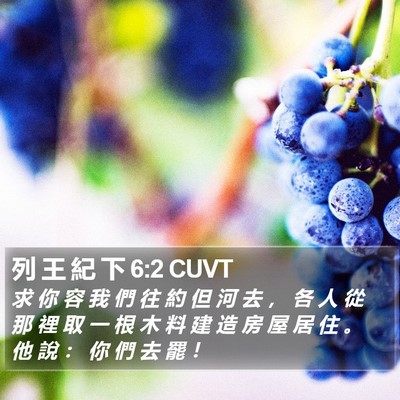 列 王 紀 下 6:2 CUVT Bible Verse Image