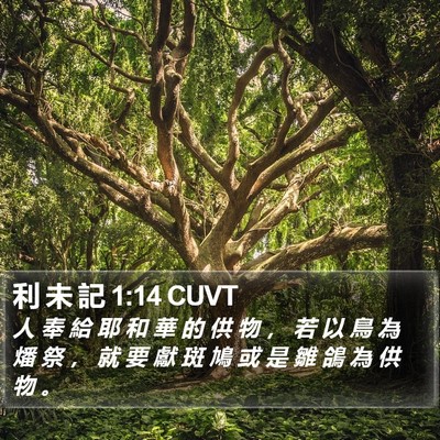 利 未 記 1:14 CUVT Bible Verse Image