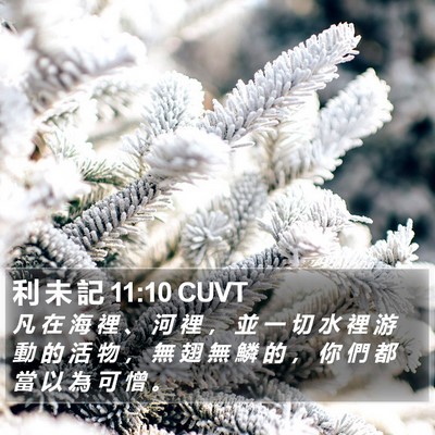 利 未 記 11:10 CUVT Bible Verse Image