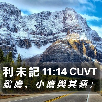利 未 記 11:14 CUVT Bible Verse Image