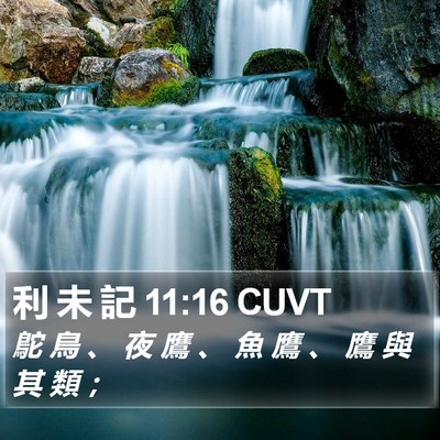 利 未 記 11:16 CUVT Bible Verse Image